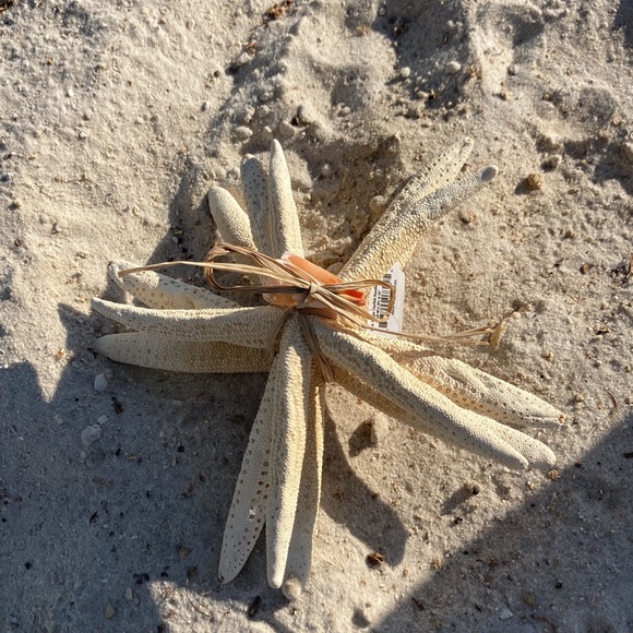 STARFISH set of 3 , GREAT DECOR , looks good ANYWHERE!!🌴🦀🦑 - Picture 3 of 10